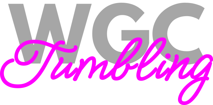 WGC Gymnastics, Cheer, and Tumbling Glitter T-Shirts!