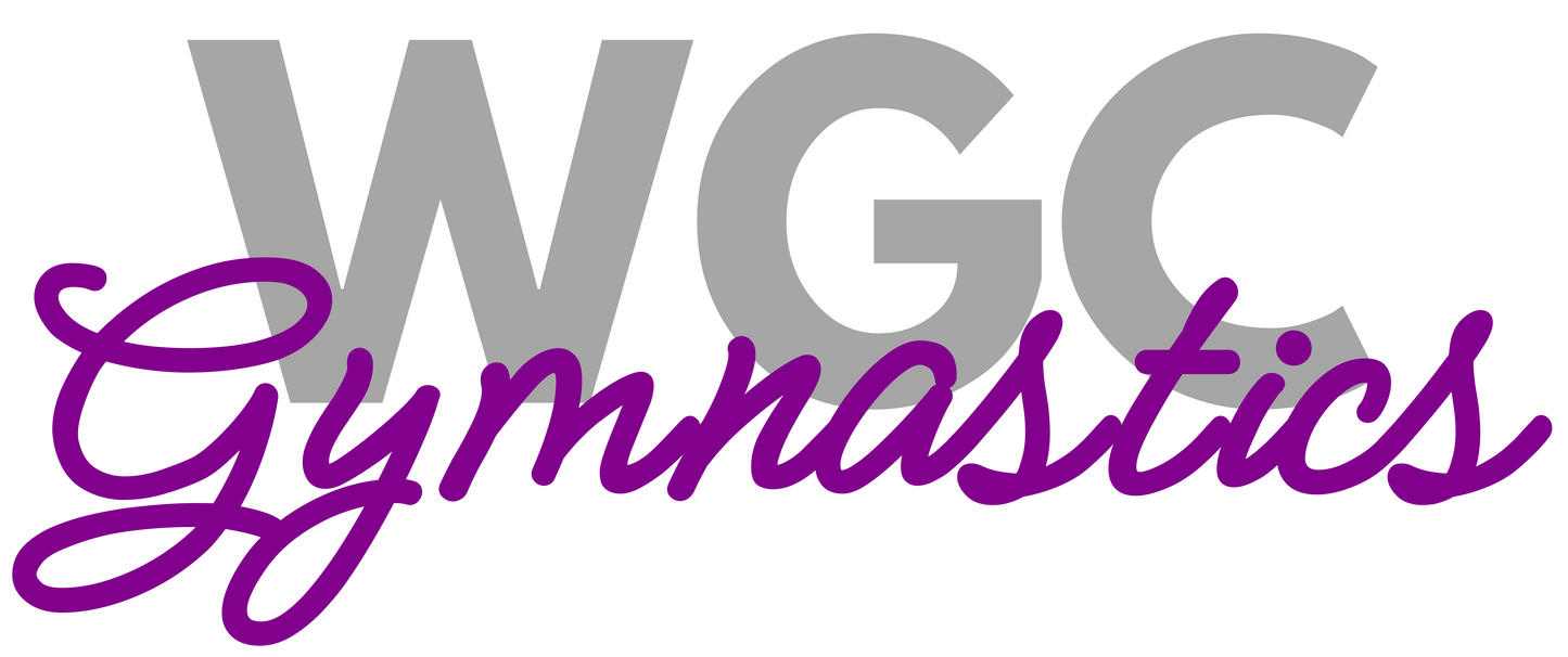 WGC Gymnastics, Cheer, and Tumbling Glitter T-Shirts!